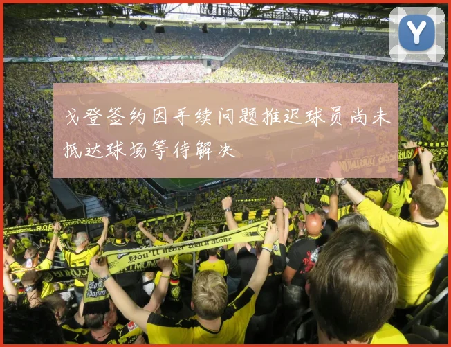 戈登签约因手续问题推迟球员尚未抵达球场等待解决